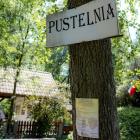 zdjęcie nr 61