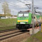 Fotka nr 2 z 10