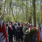 zdjęcie nr 91