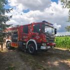 Fotka nr 5 z 7