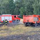 Fotka nr 3 z 11