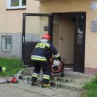 Fotka nr 5 z 16