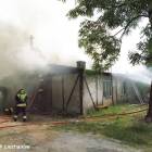 Fotka nr 4 z 15