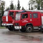 Fotka nr 2 z 11