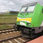 Fotka nr 4 z 10