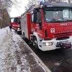 Fotka nr 2 z 4