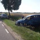 Fotka nr 2 z 4