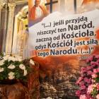 zdjęcie nr 17