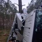 Fotka nr 2 z 4