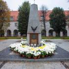 zdjęcie nr 9