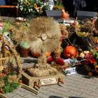 zdjęcie nr 22