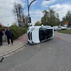 Fotka nr 1 z 4