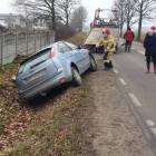 Fotka nr 2 z 4