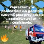 Fotka nr 2 z 3