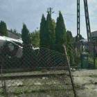 Fotka nr 4 z 11
