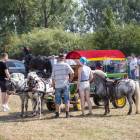 zdjęcie nr 109