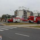 Fotka nr 1 z 17