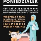 Fotka nr 0 z 3