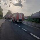 Fotka nr 5 z 11