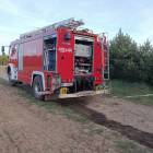 Fotka nr 5 z 7