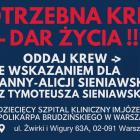 Fotka nr 1 z 2