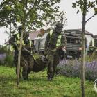 Fotka nr 2 z 19