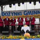 zdjęcie nr 42