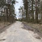 zdjęcie nr 7