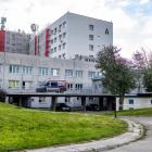 zdjęcie nr 13