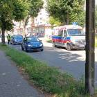 Fotka nr 1 z 2