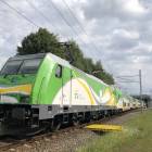 Fotka nr 5 z 10