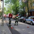 Fotka nr 2 z 4