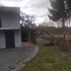 zdjęcie nr 42