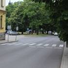 Fotka nr 2 z 3