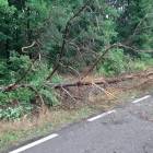 zdjęcie nr 17