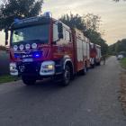 Fotka nr 1 z 9