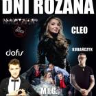 Fotka nr 0 z 2