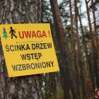 Fotka nr 0 z 19
