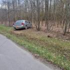 zdjęcie nr 8