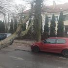 Fotka nr 3 z 10
