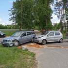 Fotka nr 1 z 4