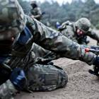 Fotka nr 2 z 9