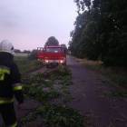 zdjęcie nr 7