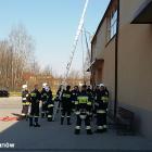 Fotka nr 2 z 11