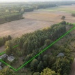 zdjęcie nr 