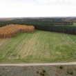 zdjęcie nr 