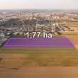 zdjęcie nr 