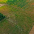 zdjęcie nr 