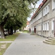 zdjęcie nr 