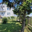 zdjęcie nr 